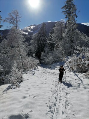 Wintersport/Ski