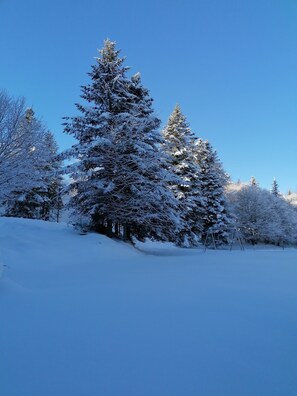 Wintersport/Ski