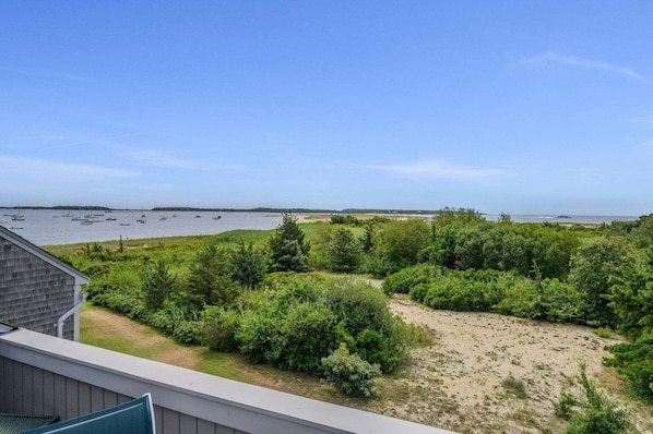 Ocean and marsh views from the rooftop deck