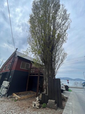 A 150-year-old poplar tree and a roadside guardian deity welcome visitors. This poplar tree was planted as a row of trees in the grounds of Kumausu Shrine, and is the only giant tree left in an elementary school playground. It still watches over travelers kindly, together with the roadside guardian deity, which was discovered when the land was excavated.