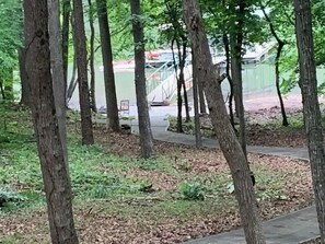 Enjoy a short stroll through the trees on the path to the dock.