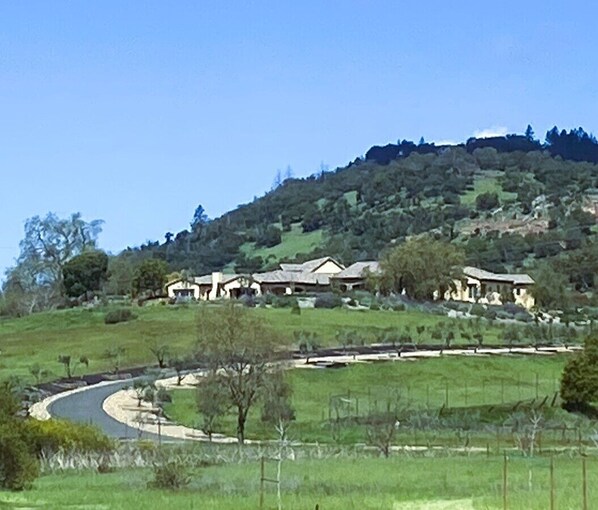 Looking at the house from the road.  I am working on getting photos up .... 