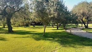 Boendeområde