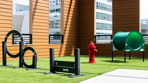 Children's area