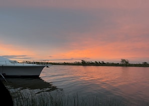 One cannot begin to explain the beauty of northern Florida.
Make memories here!