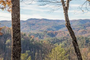 IMG_0009