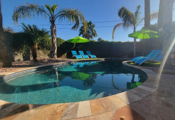 Backyard with large pool and option to heat, lounge chairs and umbrellas.
