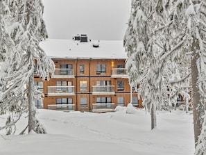 Extérieur