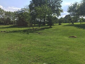 Boendeområde