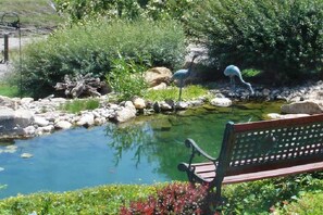 Farmhouse Pond