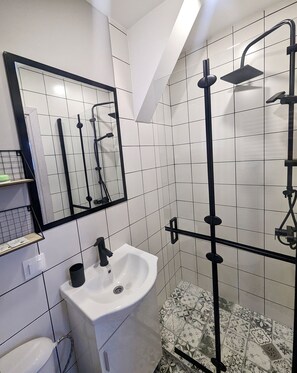 Private Brand new bathroom with shower and toilettes. (1)