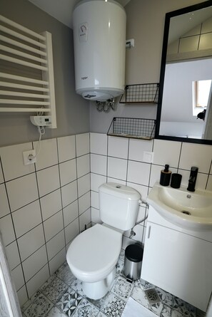 Private Brand new bathroom with shower and toilettes. (2)