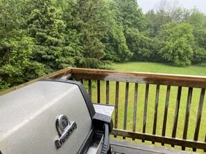 "Bear" - BBQ overlooking the backyard