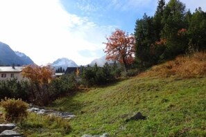 view