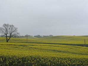 Miscellaneous
