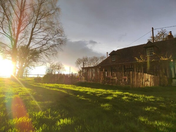 Exteriör