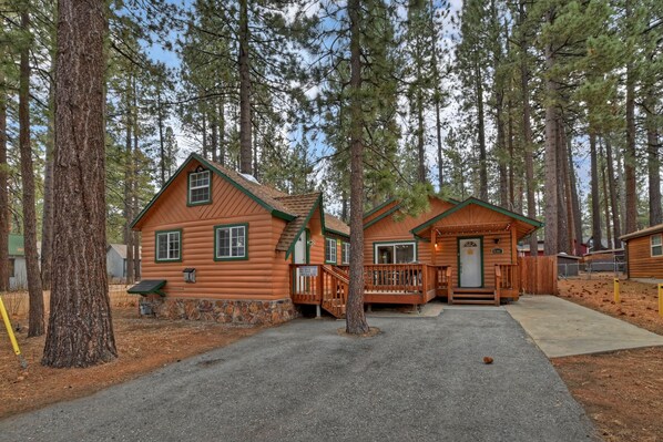 front yard 1