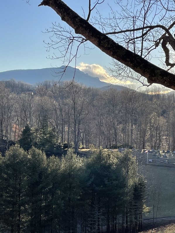 View of Grandfather Mountain