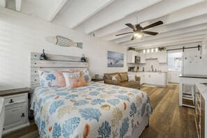 Living, Kitchen and Sleeping Area - Queen Size Bed, Large Roku TV and Queen Size Sleeper Sofa