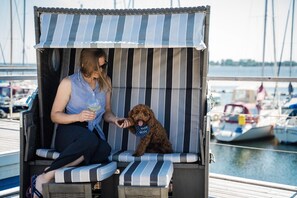 Pet-friendly