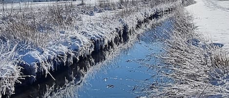 Patinage sur glace