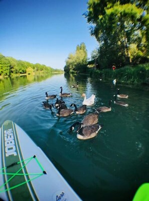 Divers