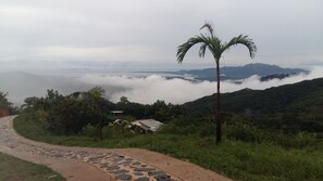 View of Pacific ocean, through the clouds, from Lotus Avenue.