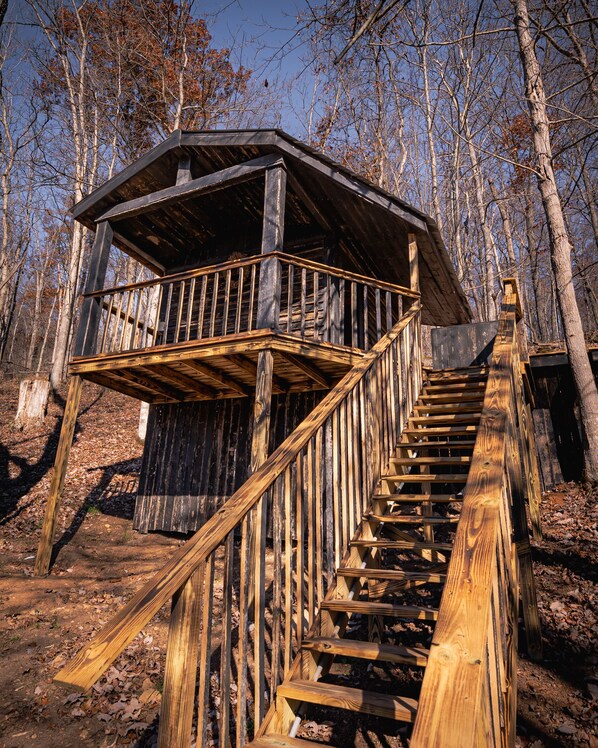 Stairs Leading to Cabin