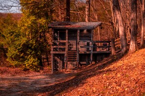 View of 1 of the 7 Cabins