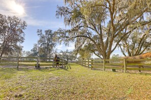 Horses On-Site | 80-Acre Property