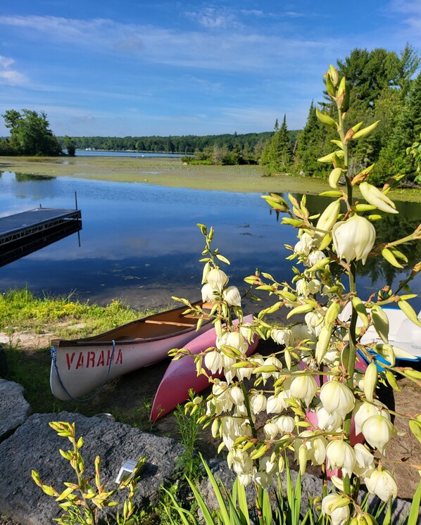 Boendeområde