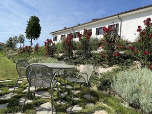 Balcony / Terrace / Patio, Garden, Summer