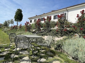 Balcony / Terrace / Patio, Garden, Summer