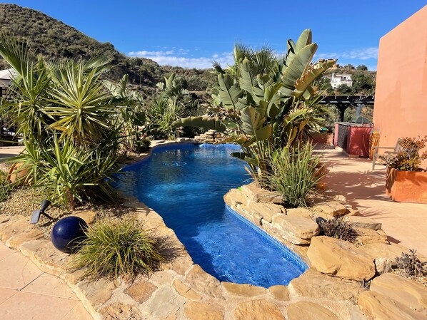 Jardin arboré autour le la piscine