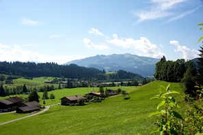 Aussicht vom Ferienhaus [Sommer]