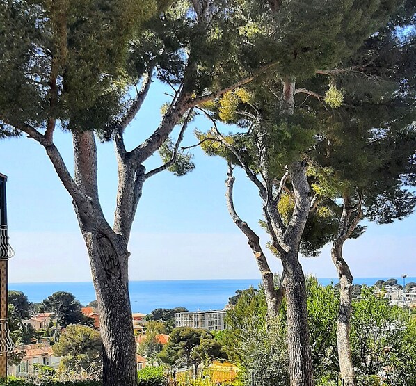 View from property