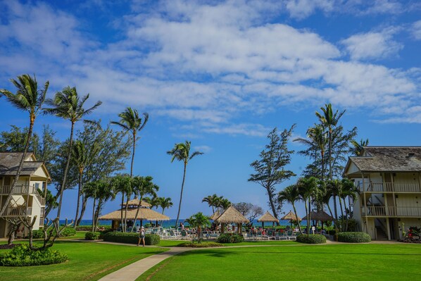 Tropical bliss.