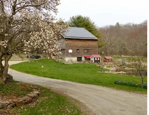 Ulkopuoli