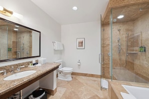 AspenMtnResidences-06C1-4704