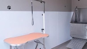 内装