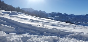 Snöskovandring