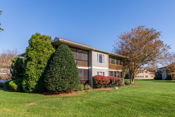 Rear of Property