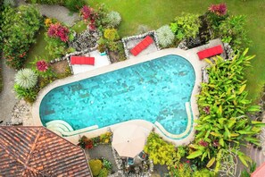 Casitas Del Rio Riverfront Nature Lodge amazing Jungle Beach Vacation swimming pool