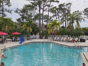 Heated Pool