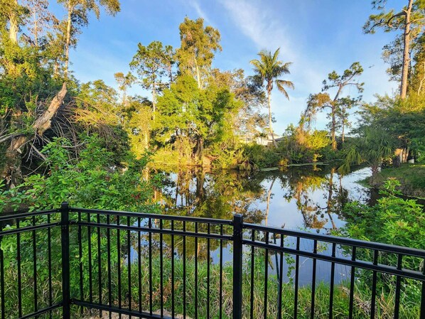 Private Backyard with Waterway View