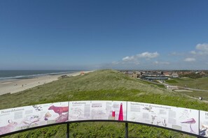 Vue sur la plage ou l’océan