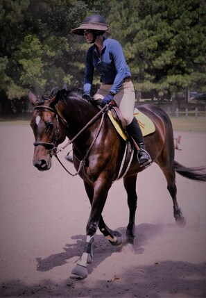 Riding lessons available