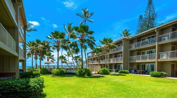 Beach View