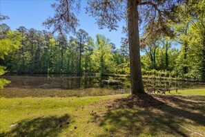 1 Acre fishing pond