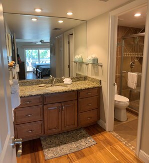 1-103 Master Bathroom Vanity